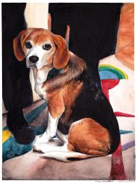 Beagle-Portrait-2